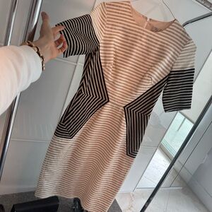 Lela Rose Silk Stripe Motif Pencil Dress Flawed Gem 6